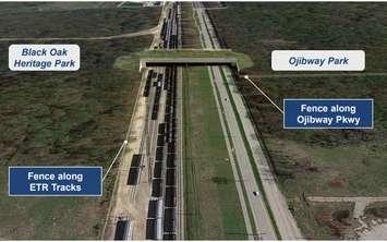 Proposed wildlife crossing in the City of Windsor. 