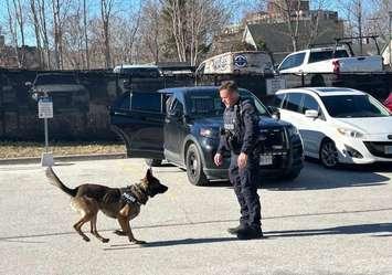 K9 Vader and Cst. Shawn Urban at Sarnia Police Headquarters (Photo by: Lindsay Newman/ Blackburn Media)