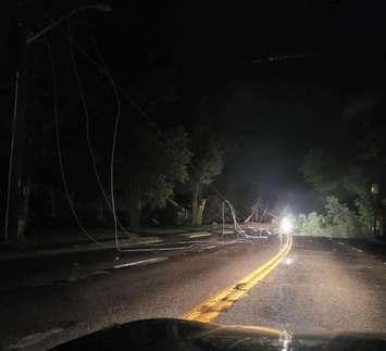  Tree down Park Avenue West between Lacroix and O'Neill in Chatham. (Submitted photo via CKSY)