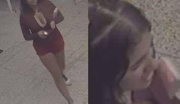Security camera images of a woman suspected of fraud in Windsor, August 28, 2025. Images provided by Windsor police.