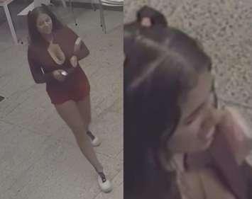 Security camera images of a woman suspected of fraud in Windsor, August 28, 2025. Images provided by Windsor police.