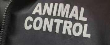 (Photo courtesy of PAWR Animal Control / Jason Hamm)