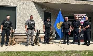 Windsor Police K9 Service Dogs Ghost and Link are introduced on September 4, 2024, along with retiring PSD Hasko. Photo provided by Windsor police.