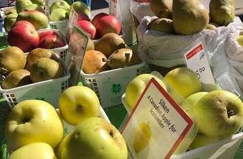 (Photo courtesy of the Downtown Windsor Farmers' Market on Facebook)
