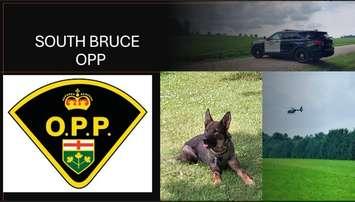 South Bruce OPP search for suspect in Culross Township.  Photo from South Bruce OPP on X.