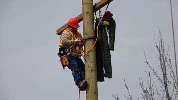 Walpole Island powerlines training course. (Photo via Program Manager with Walpole Island First Nation Employment and Training Leela Thomas)