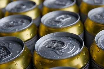 Bear cans. © Can Stock Photo / Gudella