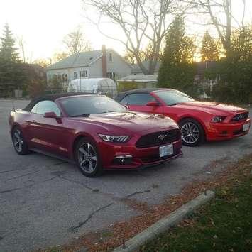 Mustangs submitted by Mike Bradley May 19