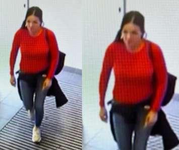 Security camera images of a person connected to a retail theft in Windsor, June 13, 2024. Photo provided by Windsor police.