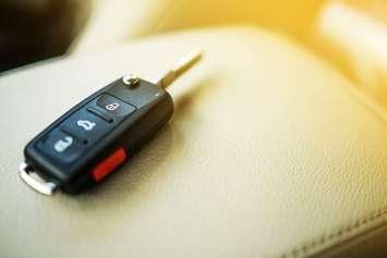 (Photo courtesy © Can Stock Photo Inc. / welcomia)