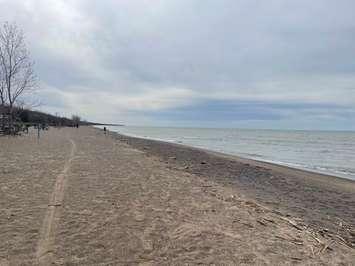 Lake Erie from Point Pelee National Park's west beach, March 25, 2024. (Photo by Maureen Revait) 