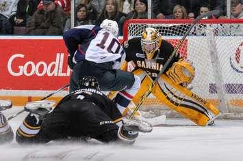 The Spitfires down the Sting 3-2 in OT Sat. Jan. 24, 2015 (Photo courtesy of Metcalfe Photography)