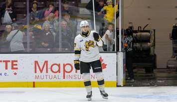 Sarnia Sting forward Alessandro Di Iorio (Photo courtesy of Metcalfe Photography)