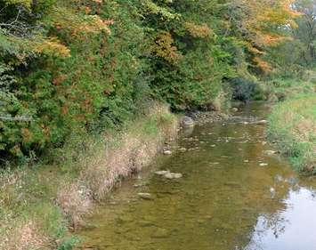 Ausable Bayfield Conservation photo