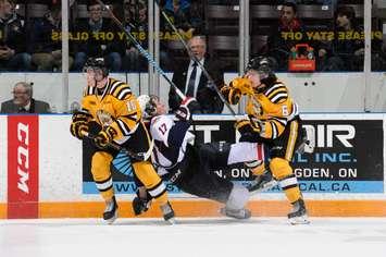 Sting vs Spitfires Mar. 20, 2015 (Photo courtesy of Metcalfe Photography)