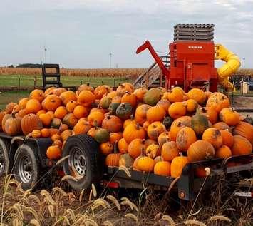 The Tilbilly Halloween Village in 2019 (Photo via Facebook)