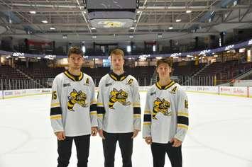 Marko Sikic (L), Cooper Way (C), and Easton Wainwright (R) (Photo courtesy of Sarnia Sting)