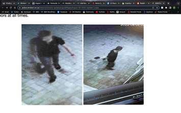 Windsor police are searching for a suspect accused of sexually assaulting a woman on Russell Street. August 