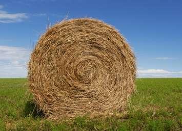 Hay bale. (Photo courtesy © Can Stock Photo Inc. / Joss)