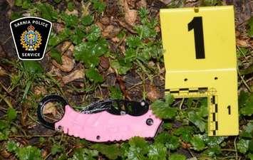 Knife used in an alleged stabbing on Sutton Street in Sarnia (Photo by: Sarnia police)
