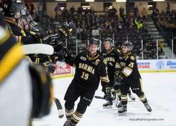 Ryan McGregor leads the Sarnia Sting goal celebration - March 28, 2019 (Photo by Metcalfe Photography)