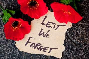 Poppies with handwritten message (Image from CreativeFire / iStock / Getty Images Plus via Getty Images)