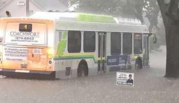 Windsor residents deal with widespread flooding in the city,
 August 29, 2017. (Photo courtesy of Dora Amelia Belanger)