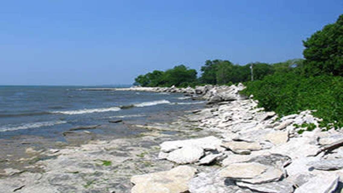 Stone Road Alvar, on Pelee Island. Photo courtesy Ontario's Southwest.