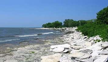 Stone Road Alvar, on Pelee Island. Photo courtesy Ontario's Southwest.