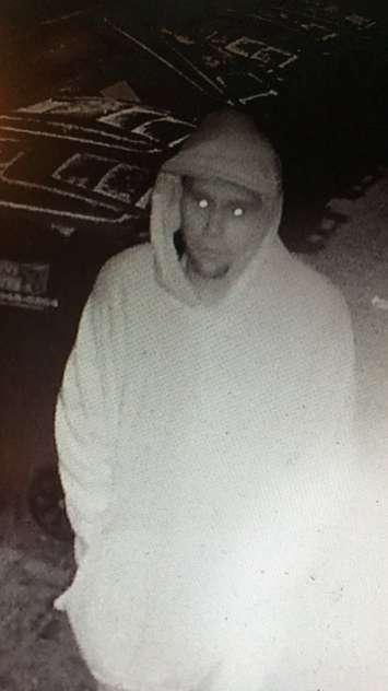 Surveillance video grab of a suspect believed to have broken into two downtown Amherstburg businesses on November 9, 2017. Photo courtesy of Amherstburg Police Service.