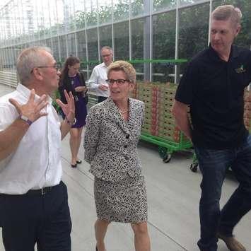 Ontario Premier Kathleen Wynne tours Chatham-Kent greenhouse Truly Green on June 18, 2015. (Photo by Simon Crouch)
