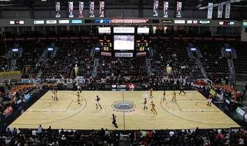 The Windsor Express host the Island Storm at the WFCU Centre for game seven of the NBL Canada Championship 2014. (photo by Mike Vlasveld)