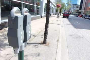 BlackburnNews.com file photo of parking meters.  (Photo by Jason Viau)