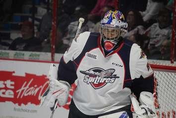 Windsor Spitfires goaltender Michael DiPietro in the net at the WFCU Centre on September 22, 2016. (Photo by Ricardo Veneza)