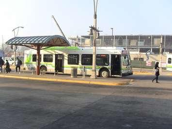 BlackburnNews.com file photo of a Transit Windsor bus at the downtown terminal. 
