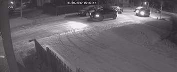Windsor police release surveillance video of suspects in property damage investigation. January 8, 2017.