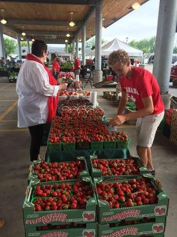 Petrolia Farmers Market 2017 Photo submitted by Town of Petrolia