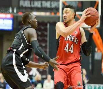 The Windsor Express battle the Mississauga Power, January 24, 2015. (Photo courtesy of the Windsor Express)
