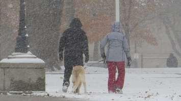 A couple and their dog walk through Victoria Park in London in snowy conditions. (File photo by Miranda Chant, Blackburn Media) 