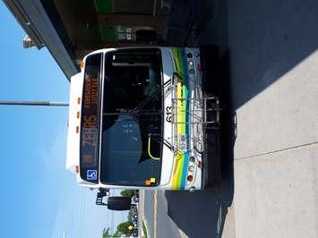 A Transit Windsor bus is parked outside Zehrs on Tecumseh Rd. E in Windsor on June 7, 2018. Photo by Mark Brown/Blackburn News.