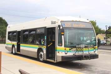 Transit Windsor bus Route 605 to Amherstburg, September 6, 2022. (Photo by Maureen Revait) 