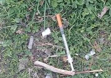 A couple of concerned west Windsor residents are issuing a heartfelt plea to cleanup the drug needle problem in the area before somebody dies from an overdose. August 2, 2018. (Photo courtesy of Celine Lascelle)