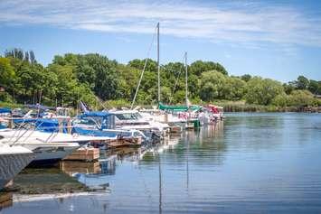 Colchester Harbour Marina in the Town of Essex has been recognized for being clean, safe and sustainably managed. May 15, 2019. (Photo courtesy of Blue Flag Canada)
