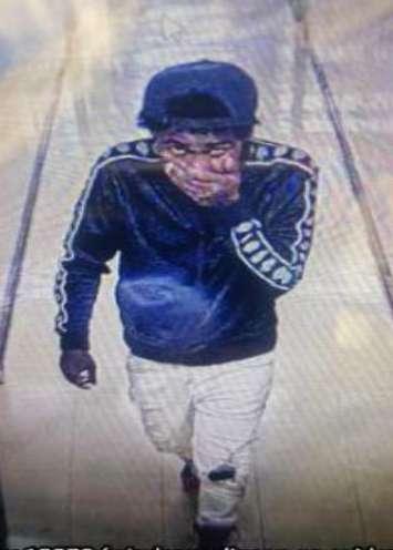 Suspect in an sexual assault investigation. (Provided by the Windsor Police Service) 