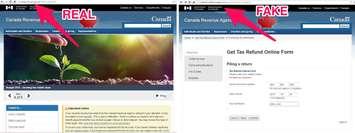 The real Canada Revenue Agency website versus the fake one. (Photo by Windsor police)