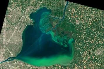 Lake St. Clair, July 28, 2015. (NASA Earth Observatory image by Joshua Stevens)