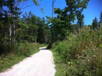 A bike trail at Point Pelee National Park. (Photo by Kevin Black)
