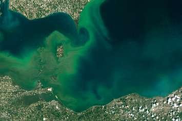 Lake Erie, July 28, 2015. (NASA Earth Observatory image by Joshua Stevens)