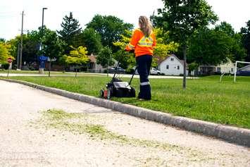 A Town of Essex employee demonstrates the incorrect way to dispose of grass clippings. Photo provided by the Town of Essex.