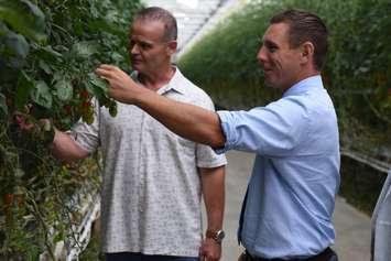 Ontario PC Leader Patrick Brown touring Cecelia Acres in Kingsville, July 10, 2017.  (Photo courtesy of the Ontario Progressive Conservative Party.)